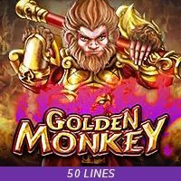 DEMO GOLDEN MONKEY